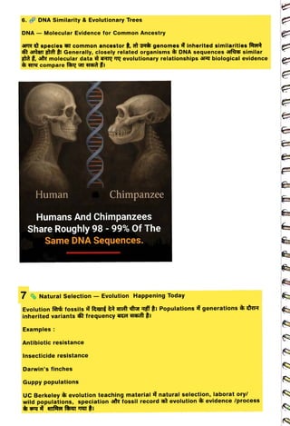 6. DNA Similarity & Evolutionary Trees
<br>
DNA – Molecular Evidence for Common Ancestry
<br>
R
species common ancestor , t t genomes inherited similarities fAert
<br>
ràeT at
Generally, closely related organisms & DNA sequences fas similar
<br>
att ,str molecular data a T evolutionary relationships biological evidence
<br>
Human
<br>
Humans And Chimpanzees
<br>
Share Roughly 98 -
99% Of The
<br>
Same DNA Sequences.
<br>
7Natural Selection Evolution
<br>
Examples:
<br>
INDNINDN
<br>
Antibiotic resistance
<br>
Evolution Rrs fossils arf arftf Tit Populations generations à a
<br>
inherited variants frequency açe Hhcf
<br>
Chimpanzee
<br>
Insecticide resistance
<br>
Darwin's finches
<br>
Guppy populations
<br>
Happening Today
<br>
UC Berkeley evolution teaching material natural selection, laborat ory/
<br>
wild populations, speciation strfossil record t evolution evidence /process
<br>
 
