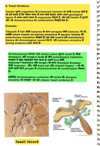 9. FossilEvidence
<br>
Fossils yeTt organisms preserved remains I 3Tt traces gà,
<br>
layers AeT-HET HY & organisms fAtd &, str a fossils yert
<br>
3R TÉ Characteristics combination f&eT I
<br>
Example:
<br>
Tiktaalik fish t features TY tetrapod ft features ft efi,
<br>
Gafea whale fossils terrestrialancestors aquatic whales
<br>
evolutionary transition f&H i gH aG fossils zi evolutionary
<br>
history aI chronological record t ir common ancestry
<br>
strong evidence HqIH GRd i
<br>
Archaeopteryx TT 150 million years yIHT fossil à, f
<br>
dinosaurs 3R modern birds f evolutionary transition
<br>
features-feathers sir wings-- r theropod dinosaur
<br>
et features - ¿a, tat bony tail str clawed fingers ft efii
<br>
Ut H
HÌgroups characteristics at combination fAGI
<br>
seife Archaeopteryx evolution îr birds ât dinosaur
<br>
ancestry t HH 1 ye classic fossil evidence I
<br>
fossilrecord
<br>
Toothed beak
<br>
(reptilian
<br>
character)
<br>
Airfoil wing
<br>
with contour
<br>
feathers
<br>
(avian character)
<br>
Wing claw
<br>
(reptilian character)
<br>
Long tail with
<br>
many vertebrae
<br>
(reptilian character)
<br>
 