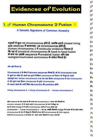 Evidences ofEvolution
<br>
1. Human Chromosome 2
Fusion
<br>
A Genetic Signature of Common Ancestry
<br>
4qt gi 46 chromosomesataž, vafa gAR closest lIving
<br>
ape relatlves TT4G: 48 chromosomes atà
<br>
Human chromosome 2 molecular evidence fAdl
<br>
fah 48 <t ancestral chromosomes head-to-head fuslon
<br>
*qT TI5HT sequence ancestral fuslon afr ys
<br>
vestiglal/inactlvated centromere Hhd frdi
<br>
Chromosome 2 telomere sequences frert ,tt chromosome ends
<br>
HEAqof ara: Human chromosome 2 at y6 agT
fZI chimpanzee qs chromosome
<br>
è match Kat Ir rH eVOlution prediction grft:
<br>
Chimp chromosomeA + Chimp chromosome B Human chromosome 2
<br>
4í evidence at
TdT fa Ha aT chromosome 2, HT3r fiyisi
<br>
common ancestor ft rTI|-HT chromosomes s G
TI
<br>
aI< HAa lineaget ichromosomes HTG fuse sleR YE
<br>
chromosome - Human Chromosome 2 T
,
afer fuiuft lineage T f e-HT
<br>
chromosomes ygž Ruist à ga
4i chromosomes
<br>
Ha chromosome 2 HAT: HeT-34oT fR A match hà ži
<br>
DNA regions,
<br>
 
