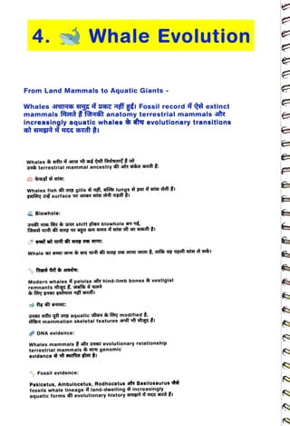 4. Whale Evolution
<br>
From Land Mammals to Aquatic Giants -
<br>
Whales UrHE Hg HAHT fi gi Fossil record
<br>
mammals rrd foâ anatomy terrestrial mammals sir
<br>
increasingly aquatic whales evolutionary transitions
<br>
3ei terrestrial mammal ancestry str Hhd aft :
<br>
Whales fish t AE gills Ti, afes lungs zarata t žI
<br>
Blowhole:
<br>
3Hâ TG feR 3h4R shift slr blowhole a T,
<br>
pelviss ir hind-limb bones vestigial
<br>
g, gafaà
<br>
Modern whales
<br>
remnants
<br>
3461 2Tr yt ag aquatic sftar far modified ,
<br>
Iaht mammalian skeletal features ft
ft yKI
<br>
DNA evidence:
<br>
t
<br>
Whales mammals 35T evolutionary relationship
<br>
terrestrial mammals TN genomic
<br>
Fossil evidence:
<br>
Pakicetus, Ambulocetus, Rodhocetus
<br>
fossils whale lineage land-dwelling
<br>
aquatic forms evolutionary history
<br>
extinct
<br>
r
Basilosaurus e
<br>
increasingly
<br>
H< hà
žI
<br>
 
