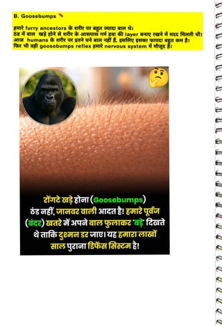 B. Goosebumps
<br>
FHTR furry ancestors rtR R TgT GUIGI AIT AI
<br>
for ftaft goosebumps reflex gHR nervous system tg I
<br>
auÈ TGEar(Goosebumps)
<br>
 