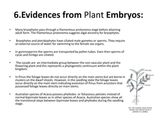 Evidences of evolution from patterns of development | PPTX