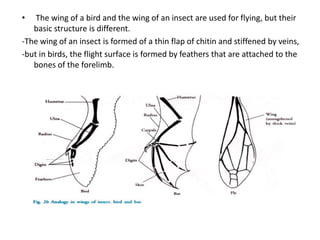 Evidences of evolution from patterns of development | PDF