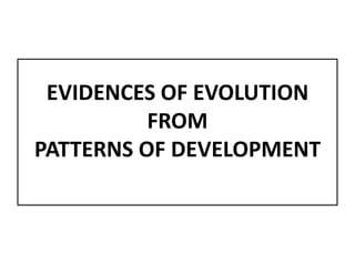 EVIDENCES OF EVOLUTION
FROM
PATTERNS OF DEVELOPMENT
 