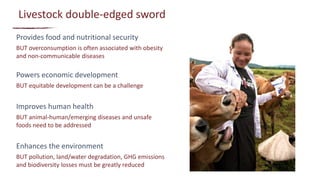 From evidence to actions: How can we use evidence to better inform investment and policy priorities for the livestock sector