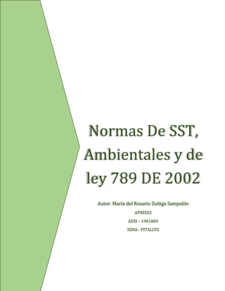 Normas De SST,
Ambientales y de
ley 789 DE 2002
Autor: Maria del Rosario Zuñiga Sampablo
APREDIZ
ADSI – 1961869
SENA - PITALITO
 
