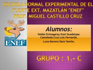 Alumnos:
Valdes Echeagaray Itzel Guadalupe.
  Castañeda Cruz Luis Fernando.
    Luna Moreno Dara Yamile.
 