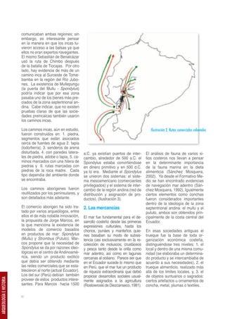 comunicaban ambas regiones; sin
                         embargo, es interesante pensar
                         en la manera en que los incas tu-
                         vieron acceso a las balsas ya que
                         ellos no eran expertos navegantes.
                         El mismo Sebastián de Benalcázar
                         usó la ruta de Chimbo después
                         de la batalla de Tiocajas. Por otro
                         lado, hay evidencia de más de un
                         camino inca al Suroeste de Tome-
                         bamba en la región del Río Jubo-
                         nes. La existencia de Mullepungu
                         (la puerta del Mullu - Spondylus)
                         podría indicar que por esa zona
                         pasaba uno de los bienes más pre-
                         ciados de la zona septentrional an-
                         dina. Cabe indicar, que no existen
                         pruebas claras de que las socie-
                         dades preincaicas también usaron
                         los caminos incas.

                         Los caminos incas, aún en estudio,                                                Ilustración 2. Rutas comerciales coloniales
                         fueron construidos en: 1. piedra,
                         segmentos que están asociados
                         cerca de fuentes de agua 2. tapia
                         (lodo/tierra), 3. senderos de arena
                         disturbada, 4. con paredes latera-     a.C. ya existían puertos de inter-      El análisis de fauna de varios si-
                         les de piedra, adobe o tapia, 5. ca-   cambio, alrededor de 500 a.C. el        tios costeros nos llevan a pensar
                         minos marcados con una hilera de       Spondylus estaba convirtiéndose         en la determinante importancia
                         piedras y 6. rutas marcadas con        en dinero primitivo y en 500 d.C.       de la fauna marina en la dieta
                         piedras de la roca madre. Cada         ya lo era. Mediante el Spondylus        alimenticia (Sánchez Mosquera,
                         tipo dependía del ambiente donde       se unieron dos sistemas: el siste-      2002). Ya desde el Formativo Me-
                         se encontraba.                         ma mesoamericano (comerciantes          dio se han encontrado evidencias
                                                                privilegiados) y el sistema de inter-   de navegación mar adentro (Sán-
                         Los caminos aborígenes fueron          cambio de la región andina (red de      chez Mosquera, 1992). Igualmente
                         reutilizados por los peninsulares, y   distribución y asignación de pro-       ciertos elementos como conchas
                         son detallados más adelante.           ductos). (Ilustración 3).               fueron considerados importantes
                                                                                                        dentro de la ideología de la zona
                         El comercio aborigen ha sido tra-      2. Las mercancías                       septentrional andina: el mullu y el
                         tado por varios arqueólogos, entre                                             pututo, ambos son obtenidos prin-
                         ellos el de más notable innovación,    El mar fue fundamental para el de-      cipalmente de la costa central del
                         la propuesta de Jorge Marcos, en       sarrollo costeño desde las primeras     Ecuador.
                         la que menciona la existencia de       expresiones culturales, hasta los
                         modelos de comercio basados            chonos, punáes y manteños quie-         En esas sociedades antiguas el
                         en productos de mar: Spondylus         nes basaban su modo de subsis-          trueque fue la base de toda or-
                         (Mullu) y Strombus (Pututo). Mar-      tencia casi exclusivamente en la re-    ganización económica costeña,
                         cos propone que la necesidad de        colección de moluscos, crustáceos       distinguiéndose tres niveles: 1. el
                         Spondylus se da por razones ideo-      y pesca tanto desde la orilla como      local y dentro de una misma comu-
                         lógicas en el centro de Andinoamé-     mar adentro, así como en lagunas        nidad (se elaboraba un determina-
                         rica, siendo un producto exótico       cercanas al océano. Parece ser que      do producto y se intercambiaba de
                         que debía ser obtenido mediante        en el Ecuador sucede lo mismo que       acuerdo a sus necesidades), 2. el
                         las redes comerciales que se esta-     en Perú, que el mar fue un producto     trueque alimenticio, realizado más
                         blecieron al norte (actual Ecuador).   de riqueza extraordinaria que debió     allá de los limites locales, y, 3. el
                         Los del sur (Perú) debían también      propiciar desarrollos sociales usual-   de objetos suntuarios o sagrados:
                         proveer de estos productos intere-
ARQUEOLOGÍA E HISTORIA




                                                                mente asignados a la agricultura        ciertos artefactos u ornamentos de
                         santes. Para Marcos hacia 1500         (Rostowroski de Diezcanseco, 1981).     concha, metal, plumas o textiles.

                         30
 
