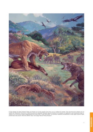 El tigre dientes de sable Smilodon fatalis se enfrenta con el lobo gigante Canis dirus, por un cadáver de caballo. Esta reconstrucción artística de una
escena del Pleistoceno Terminal en California podría ser adaptada, mediante algunos cambios en el paisaje y la vegetación, para representar algo su-
cedido en la Provincia de Talara (Departamento de Piura) hace 14,000 años atrás. Los primeros cazadores recolectores en esta región podrían haber
presenciado esta escena. Mural de William Stout, San Diego Natural History Museum.
                                                                                                                                                          PALEONTOLOGÍA




                                                                                                                                                    77
 