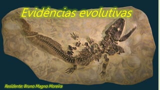 Evidências evolutivas
Residente: Bruno Magno Moreira
 