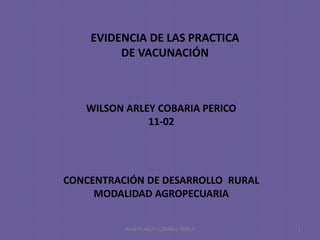 EVIDENCIA DE LAS PRACTICA
DE VACUNACIÓN
WILSON ARLEY COBARIA PERICO
11-02
CONCENTRACIÓN DE DESARROLLO RURAL
MODALIDAD AGROPECUARIA
WILSON ARLEY COBARIA PERICO 1
 