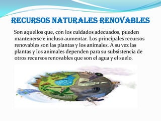 recursos naturales renovables
Son aquellos que, con los cuidados adecuados, pueden
mantenerse e incluso aumentar. Los principales recursos
renovables son las plantas y los animales. A su vez las
plantas y los animales dependen para su subsistencia de
otros recursos renovables que son el agua y el suelo.
 