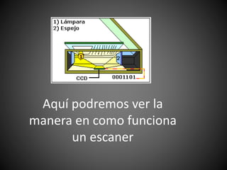 Aquí podremos ver la
manera en como funciona
un escaner
 