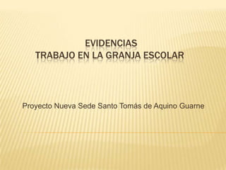 EVIDENCIAS
   TRABAJO EN LA GRANJA ESCOLAR



Proyecto Nueva Sede Santo Tomás de Aquino Guarne
 