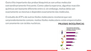 Outra liña importante das probas bioquímicas son unhas molecular
extraordinariamente frecuente. Como cabería esperarse, algunhas reacción
químicas son bastante diferente entre si; sin embargo, moitas delas son
exactamente as mesmas e dependen exactamente das moléculas.
O estudio de ATP e de outros fósiles moleculares revelaron que son
sorprendentemente comúns: moitos fósiles moleculares están emparentados
cercanamente con ácidos nucleicos.
 