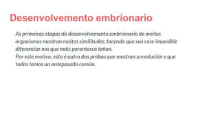 Desenvolvemento embrionario
As primeiras etapas do desenvolvemento embrionario de moitos
organismos mostran moitas similitudes, facendo que sea case imposible
diferenciar aos que máis parentesco teñan.
Por este motivo, esta é outra das probas que mostran a evolución e que
todos temos un antepasado común.
 