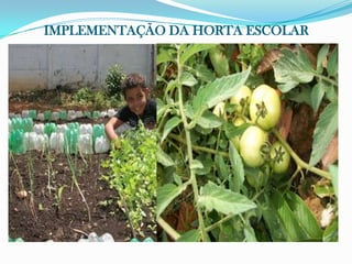 IMPLEMENTAÇÃO DA HORTA ESCOLAR
 