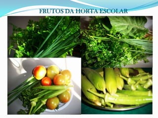 FRUTOS DA HORTA ESCOLAR
 
