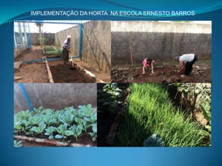 IMPLEMENTAÇÃO DA HORTA NA ESCOLA ERNESTO BARROS
 