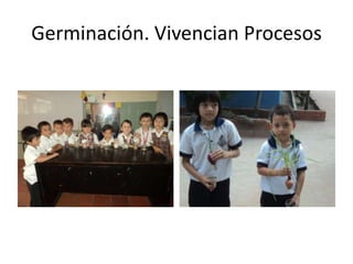 Germinación. Vivencian Procesos

 