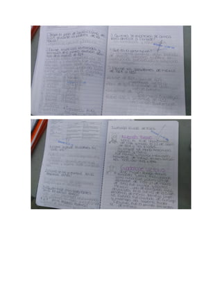 Evidencias andrea 302