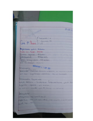 Evidencias andrea 302