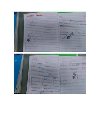 Evidencias andrea 302