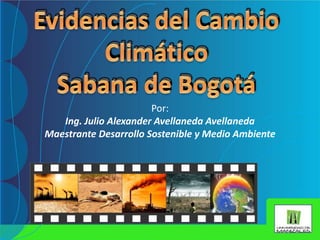 Por:
Ing. Julio Alexander Avellaneda Avellaneda
Maestrante Desarrollo Sostenible y Medio Ambiente
 