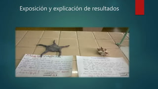 Exposición y explicación de resultados
 