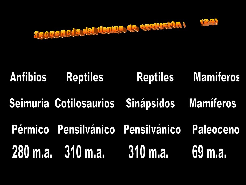 Quienes Estaban A Favor De La Teoria Creacionista