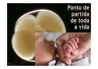 Ponto de
partida
de toda
a vida
 