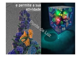 e permite a sua
atividade
 