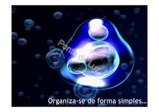 Organiza-se de forma simples…
 