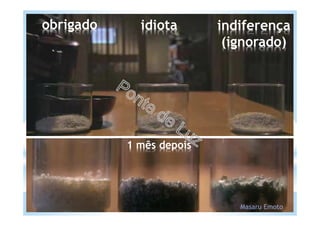 obrigado idiota indiferença
(ignorado)
1 mês depois
Masaru Emoto
 