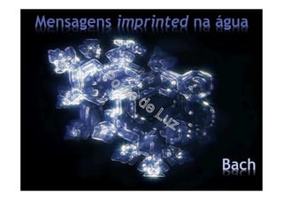 Bach
Mensagens imprinted na água
 