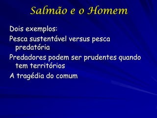 Salmão e o Homem
Dois exemplos:
Pesca sustentável versus pesca
  predatória
Predadores podem ser prudentes quando
  tem territórios
A tragédia do comum
 