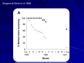 Imagens de Estes et al. 1998
 