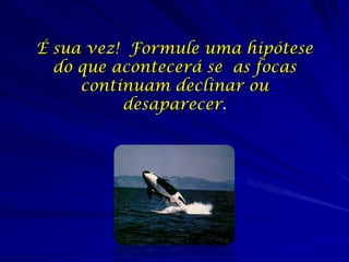 É sua vez! Formule uma hipótese
  do que acontecerá se as focas
     continuam declinar ou
          desaparecer.
 