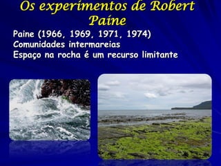 Os experimentos de Robert
           Paine
Paine (1966, 1969, 1971, 1974)
Comunidades intermareias
Espaço na rocha é um recurso limitante
 