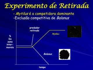 Experimento de Retirada
     - Mytilus é a competidora dominante
     -Exclusão competitiva de Balanus

              predador
              retirado
                                   Mytilus
   %
  Da
 zona
inter-
mareia

                         Balanus




                     tempo
 