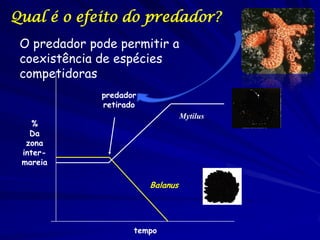 Qual é o efeito do predador?
 O predador pode permitir a
 coexistência de espécies
 competidoras
              predador
              retirado
                                   Mytilus
    %
   Da
  zona
 inter-
 mareia

                         Balanus




                     tempo
 