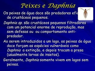Peixes e Daphnia
Os peixes de água doce são predadores eficientes
  de crustáceos pequenos.
Daphnia sp. são crustáceos pequenos filtradores
  com um potencial enorme de reprodução, mas
  sem defesas ou ou comportamento anti-
  predador.
Ao serem introduzidos a um lago, os peixes de água
  doce forçam as espécies vulneráveis como
  Daphnia a extinção, e depois trocam a presa
  (usualmente larvas de insetos).
Geralmente, Daphnia somente vivem em lagos sem
  peixes.
 