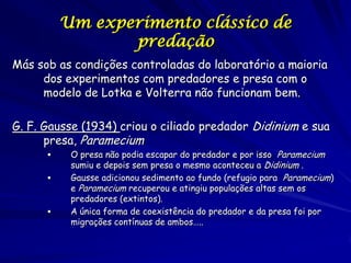 Um experimento clássico de
                 predação
Más sob as condições controladas do laboratório a maioria
     dos experimentos com predadores e presa com o
     modelo de Lotka e Volterra não funcionam bem.

G. F. Gausse (1934) criou o ciliado predador Didinium e sua
      presa, Paramecium
          O presa não podia escapar do predador e por isso Paramecium
           sumiu e depois sem presa o mesmo aconteceu a Didinium .
          Gausse adicionou sedimento ao fundo (refugio para Paramecium)
           e Paramecium recuperou e atingiu populações altas sem os
           predadores (extintos).
          A única forma de coexistência do predador e da presa foi por
           migrações contínuas de ambos…..
 