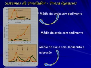 Sistemas de Predador – Presa (Gausse)

                * Média de aveia sem sedimento




                  Média de aveia com sedimento



                 Média de aveia com sedimento e
                 migração
 