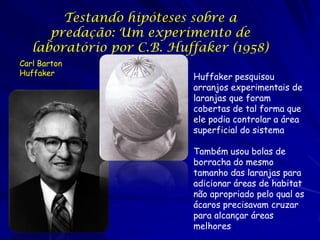 Testando hipóteses sobre a
      predação: Um experimento de
   laboratório por C.B. Huffaker (1958)
Carl Barton
Huffaker                   Huffaker pesquisou
                           arranjos experimentais de
                           laranjas que foram
                           cobertas de tal forma que
                           ele podia controlar a área
                           superficial do sistema

                           Também usou bolas de
                           borracha do mesmo
                           tamanho das laranjas para
                           adicionar áreas de habitat
                           não apropriado pelo qual os
                           ácaros precisavam cruzar
                           para alcançar áreas
                           melhores
 