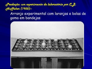 Predação: um experimento de laboratório por C.B.
Huffaker (1958)—
  Arranjo experimental com laranjas e bolas de
  goma em bandejas
 