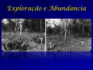 Exploração e Abundancia
 