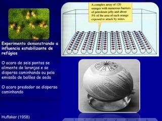 Experimento demonstrando a
influencia estabilizante de
refúgios

O acaro de seis pontos se
alimente de laranjas e se
dispersa caminhando ou pela
emissão de balões de seda

O acaro predador se dispersa
caminhando




Huffaker (1958)
 
