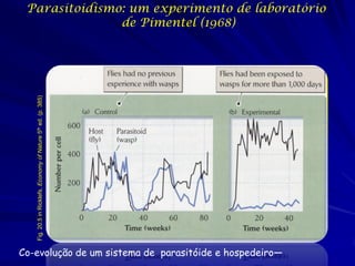 Parasitoidismo: um experimento de laboratório
               de Pimentel (1968)
   Fig. 20.5 in Ricklefs, Economy of Nature 5th ed. (p. 385)




Co-evolução de um sistema de parasitóide e hospedeiro—
 