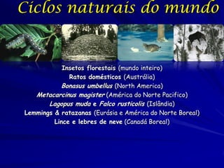 Ciclos naturais do mundo


            Insetos florestais (mundo inteiro)
              Ratos domésticos (Austrália)
           Bonasus umbellus (North America)
   Metacarcinus magister (América do Norte Pacifico)
       Lagopus muda e Falco rusticolis (Islândia)
Lemmings & ratazanas (Eurásia e América do Norte Boreal)
         Lince e lebres de neve (Canadá Boreal)
 